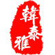 韩泰雅旗舰店 店铺LOGO