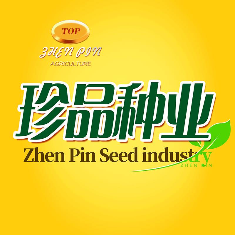 珍品种业 店铺LOGO