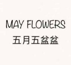 五月五盆盆