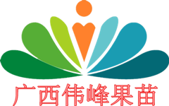 广西伟峰果苗场