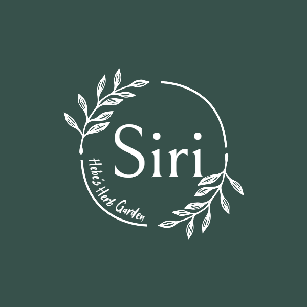 SIRI烘培用品