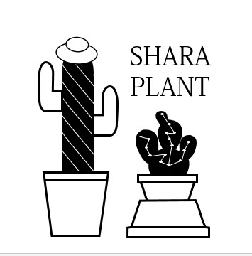 撒哈拉植物工作室