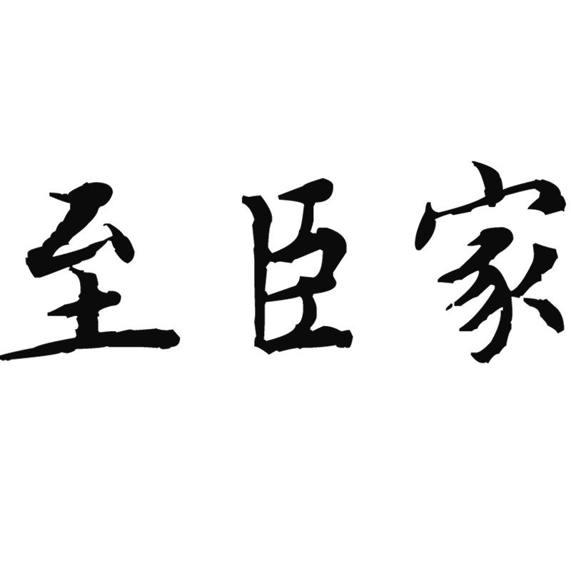 广州至臣家汽车用品