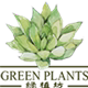花艺绿植坊