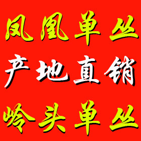 茗韵单丛茶潮州单枞茶直销店