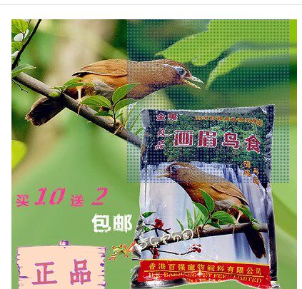 龙正宏鸟食