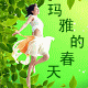 玛雅的春天