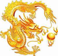 龍记全球购 店铺LOGO