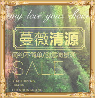 蔓薇清源微景观