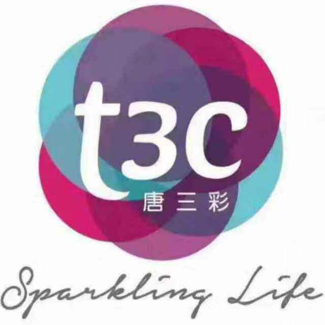 T3C化妆品连琐 店铺LOGO