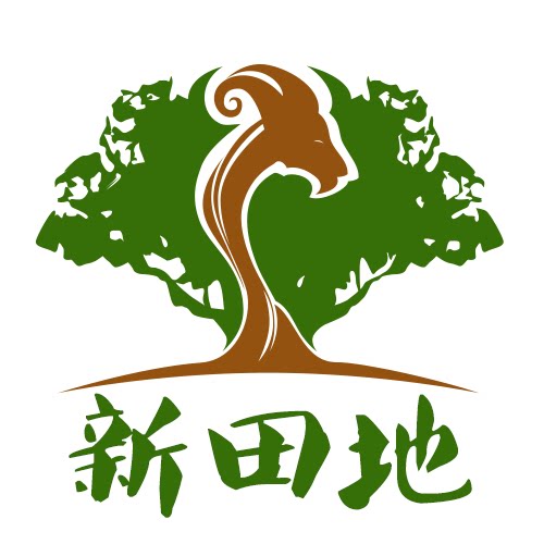 新田地宁夏特色美食