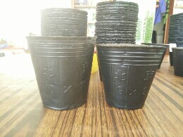 杨晴园艺用品