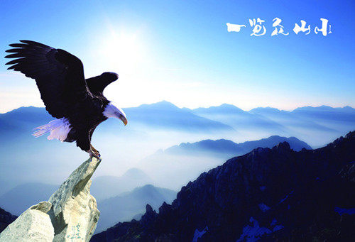 户外飞鹰