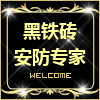 黑铁砖安防旗舰店