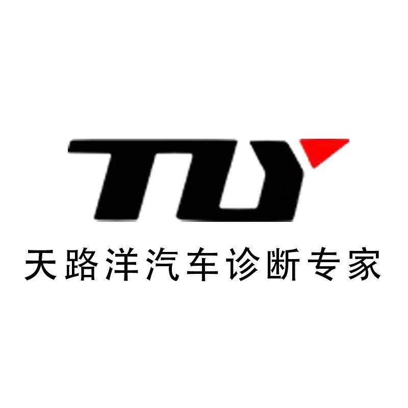 天路洋汽车用品专营店 店铺LOGO