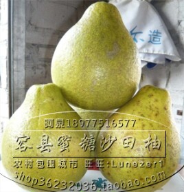 农村包围城市之乾隆柚