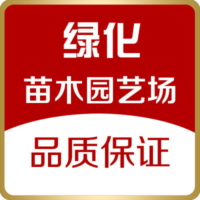 绿化苗木园艺场