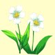 两朵花水质检测