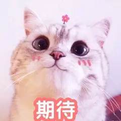 一只猪开的玩具店 店铺LOGO