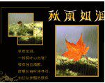 韩版女装潮衣阁