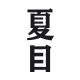 夏目印花帆布包