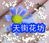 天街花坊 店铺LOGO