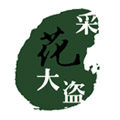 采花大盗干花艺术