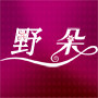 野朵旗舰店