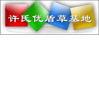 许氏忧遁草基地