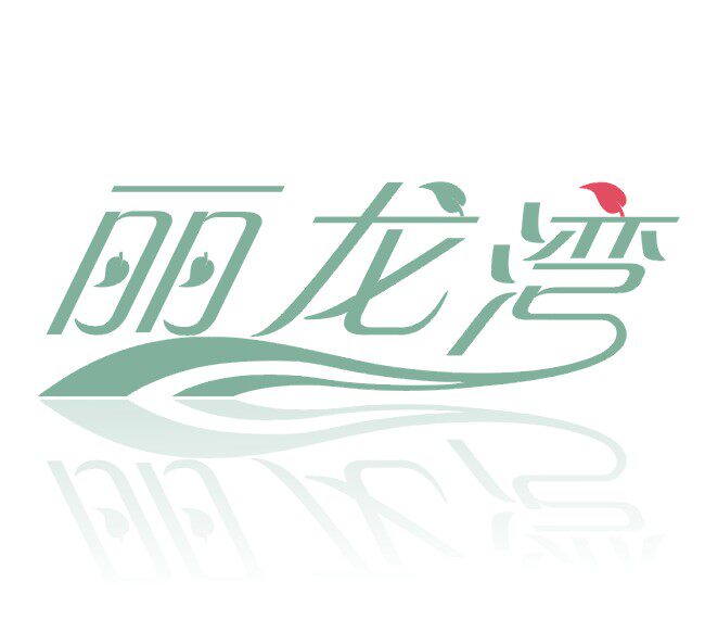 今词饰品