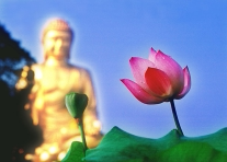 中西厨房设备