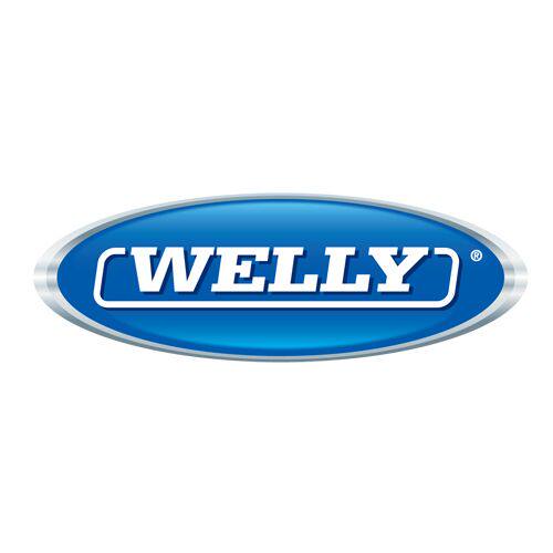 WELLY模型