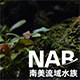 南美流域NABasin