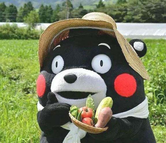 愤怒的熊本熊