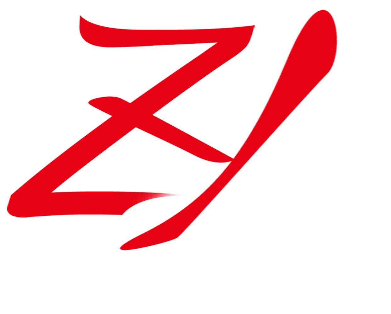 深圳卓越三千 店铺LOGO