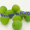 KOCO 可口食品坊