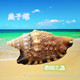 绿海之星