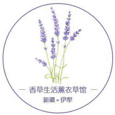 新疆伊犁65团香草生活薰衣草馆