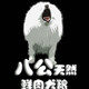 八公手工宠物鲜粮店