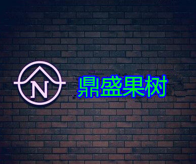 山东鼎盛苗木基地