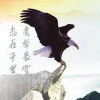 昌顺轴承批发商行