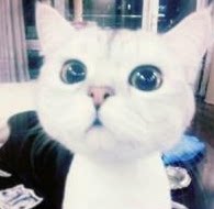你的美足以