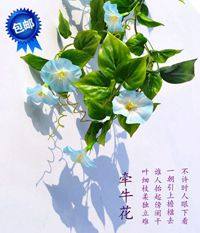 竹林听雨饰品 店铺LOGO