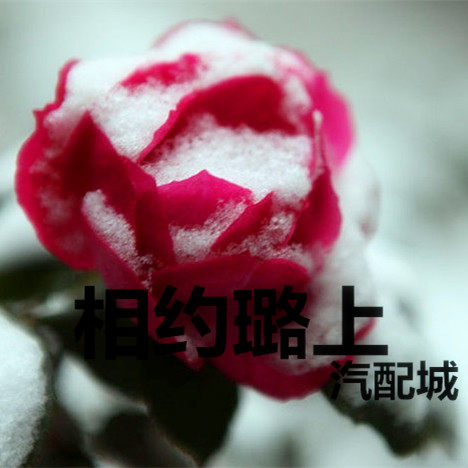 相约璐上汽车配件城