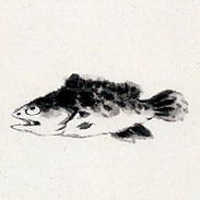 轻奢雅聚工作室