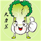 大白菜手机壳