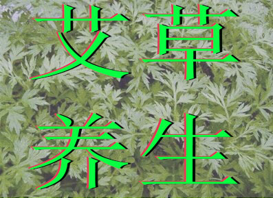 尚尚艾草养生堂 店铺LOGO