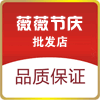 薇薇节庆批发店