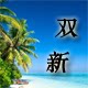 双新旅游制品直销店