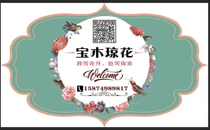 宝木琼花园艺